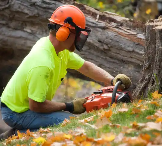 tree services Framingham